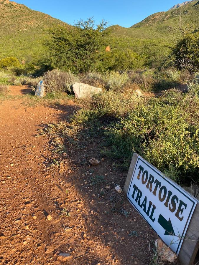 The Retreat At Groenfontein Calitzdorp Kültér fotó