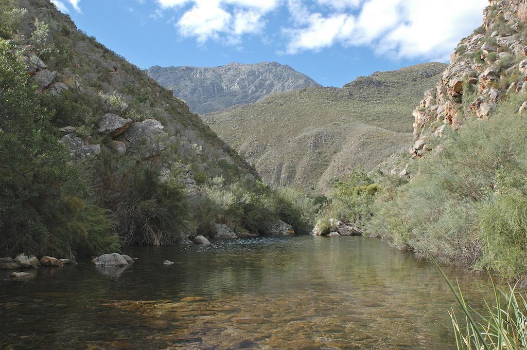 The Retreat At Groenfontein Calitzdorp Kültér fotó