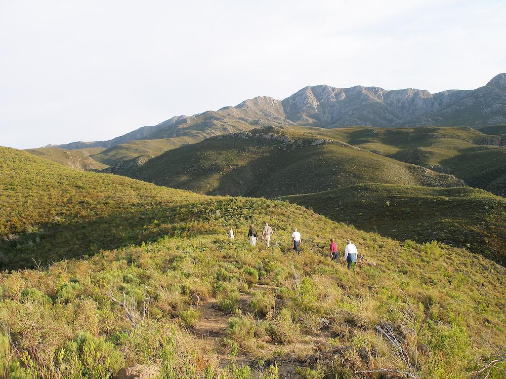 The Retreat At Groenfontein Calitzdorp Kültér fotó